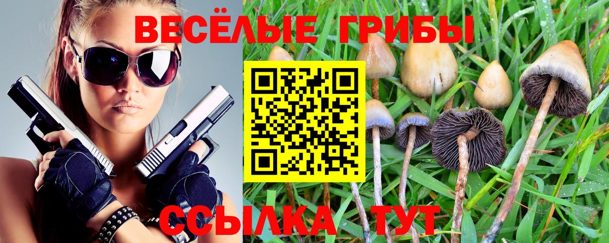 Отрадный  Псилоцибиновые грибы MAGIC MUSHROOMS  Псилоцибиновые грибы GOLDEN TEACHER  Вход с VPN 