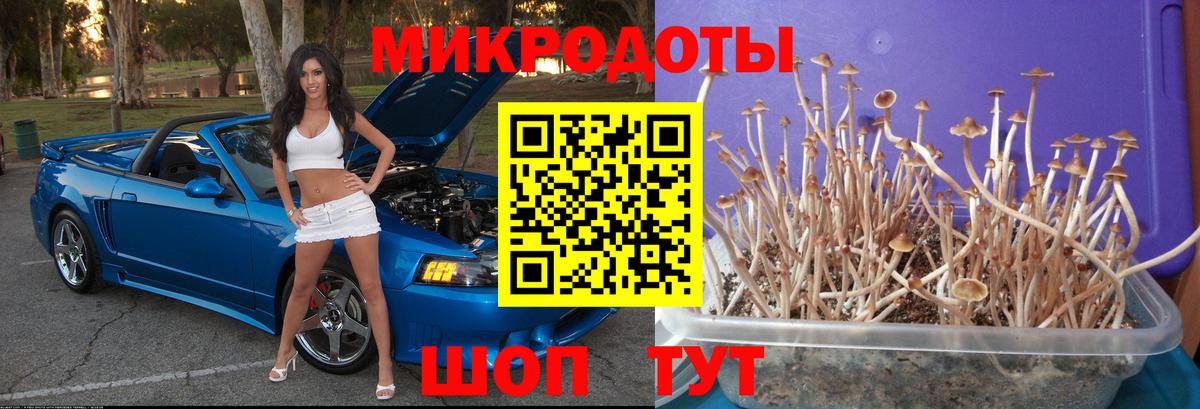 Галлюциногенные грибы GOLDEN TEACHER Отрадный